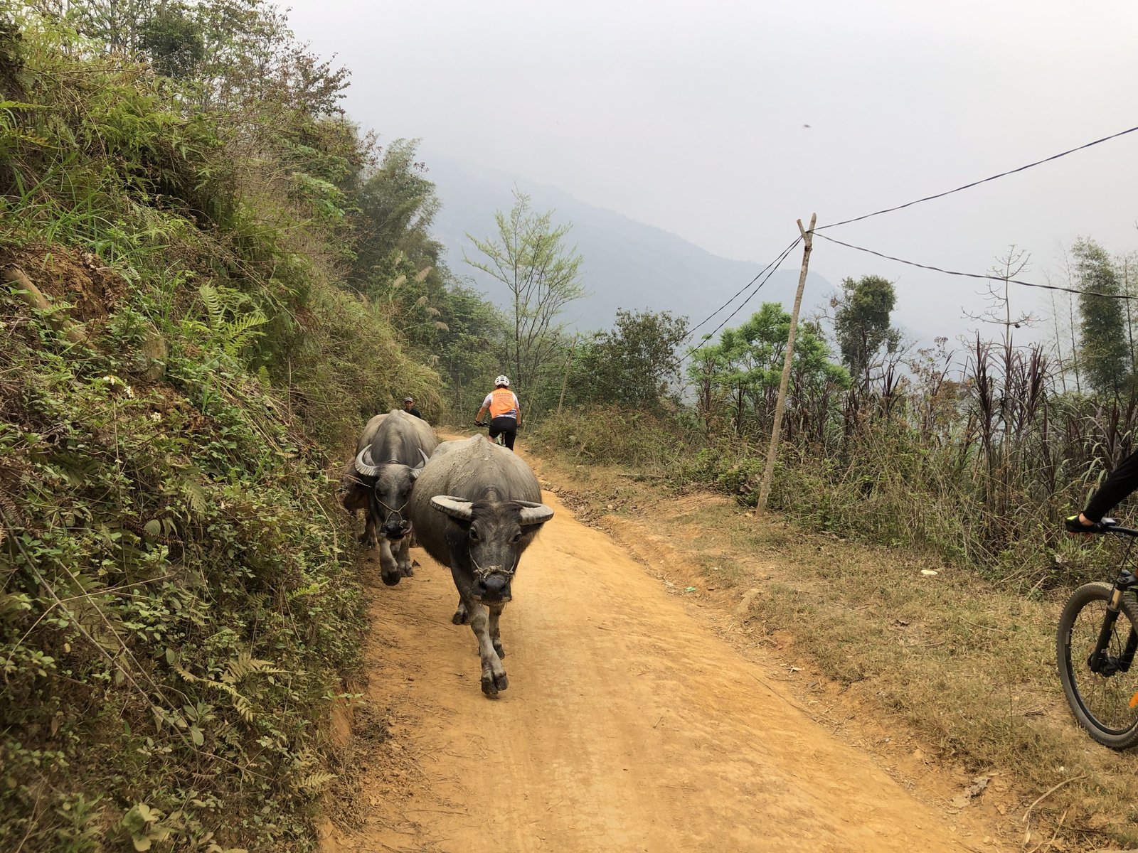 Epic 15-Day Ha Giang to Sapa Mountain Bike Tour